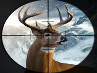 https://www.y8gamesx.com/game/hunter-3d